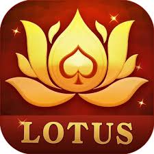 roz rummy 3 download